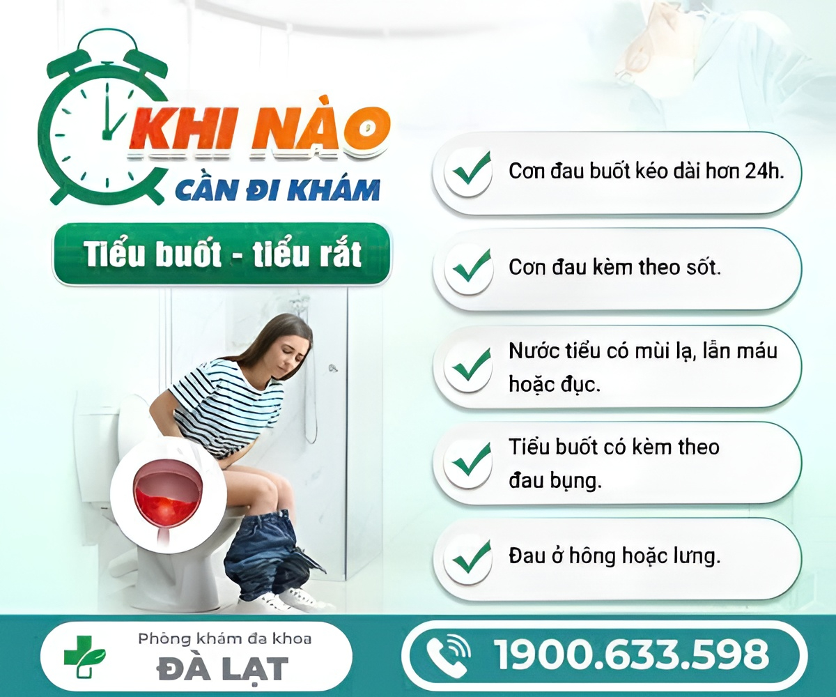 Hình ảnh minh họa